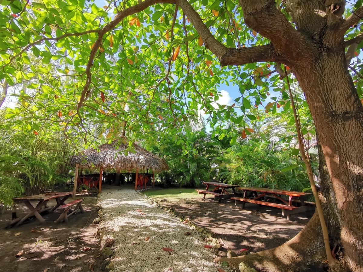 Deluxe Villas Bavaro Beach & Spa - Best Price For Long Term Vacation Rental Punta Cana Buitenkant foto